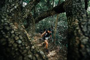 BIB: 
                            <button type="button" onclick="openModal(25392330)" class="btn btn-primary btn-sm float-right btn-popup" data-toggle="modal" data-target=".modal-high-quality">
                        <i class="fas fa-shopping-cart"></i> Add to Cart
                    </button>
                                            <button type="button" onclick="isThisMe(25392330, true)" class="btn btn-success btn-sm float-right btn-popup btn-isme hidden" data-toggle="tooltip" data-placement="bottom" title="นี่คือรูปของคุณใช่ไหม คลิกที่นี่เพื่อเอาเข้าอัลบั้ม">
                        <i class="fas fa-plus"></i> Add to album
                    </button>
                    <button type="button" onclick="isThisMe(25392330, false)" class="btn btn-warning btn-sm float-right btn-popup btn-isnotme hidden">
                        <i class="fas fa-ban"></i> Remove from album
                    </button>